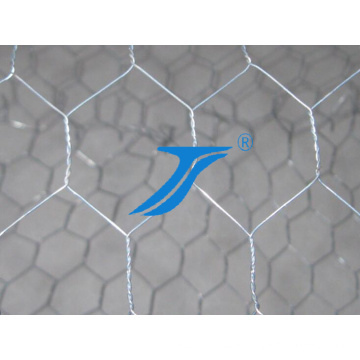 Galvanized Hexagonal Wire Mesh / Chicken Wire Mesh